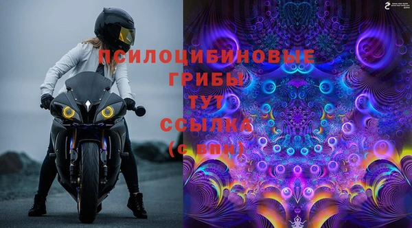гидра Пролетарск