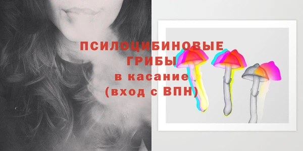 гидра Пролетарск