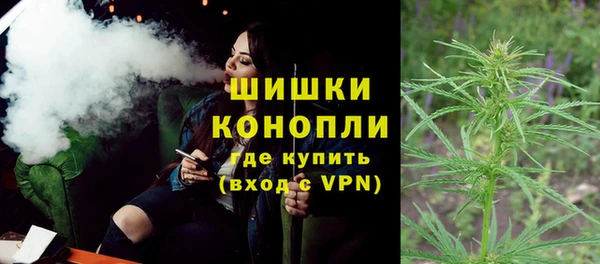 сатива Протвино
