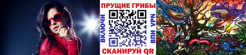 кракен рабочий сайт  Ачхой-Мартан  Галлюциногенные грибы мухоморы 